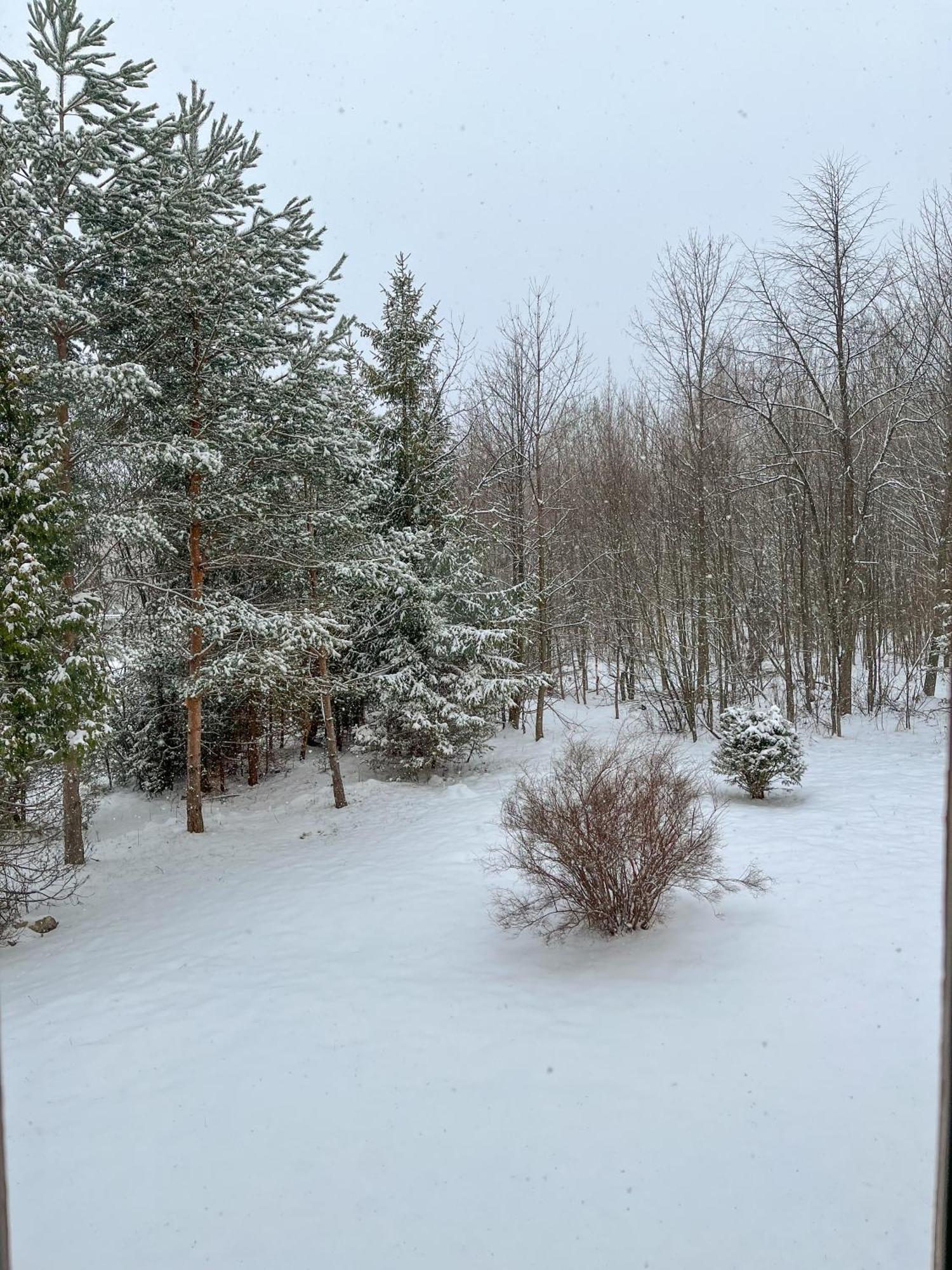 Slnecny 2-Izbovy Apartman Pod Lesom, Dolny Smokovec Vysoké Tatry Buitenkant foto